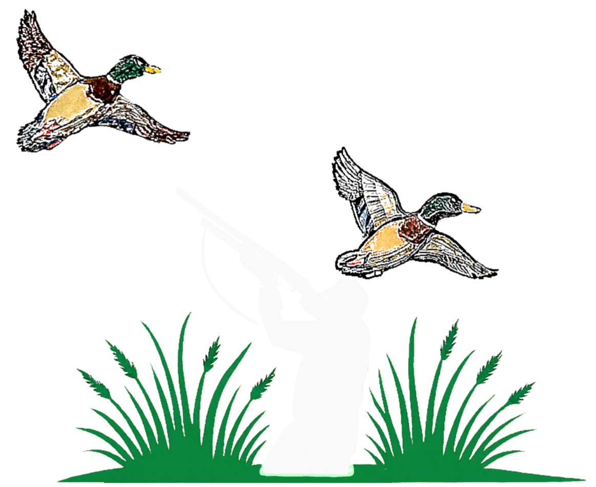 Illustration of a white dove with outstretched wings perched on a pedestal, flanked by green plants, with two flying mallard ducks above.