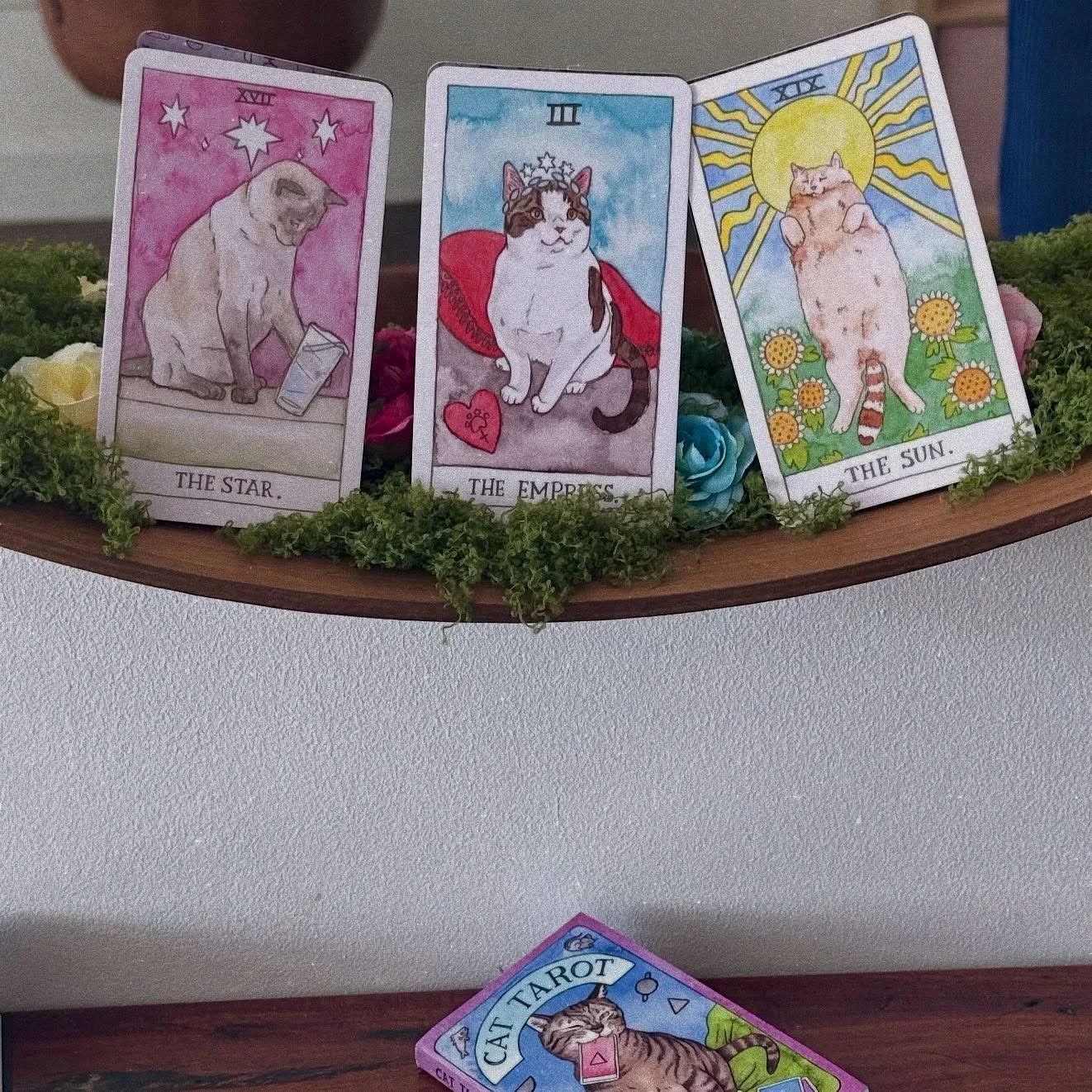 ✨ FINAL CLUE ✨
The cards never lie…
🌟 The Star — a long-awaited wish
👑 The Empress — growth and creative energy
☀️ The Sun — joy and a bright new beginning
You’ve followed the clues, you’ve guessed in the comme