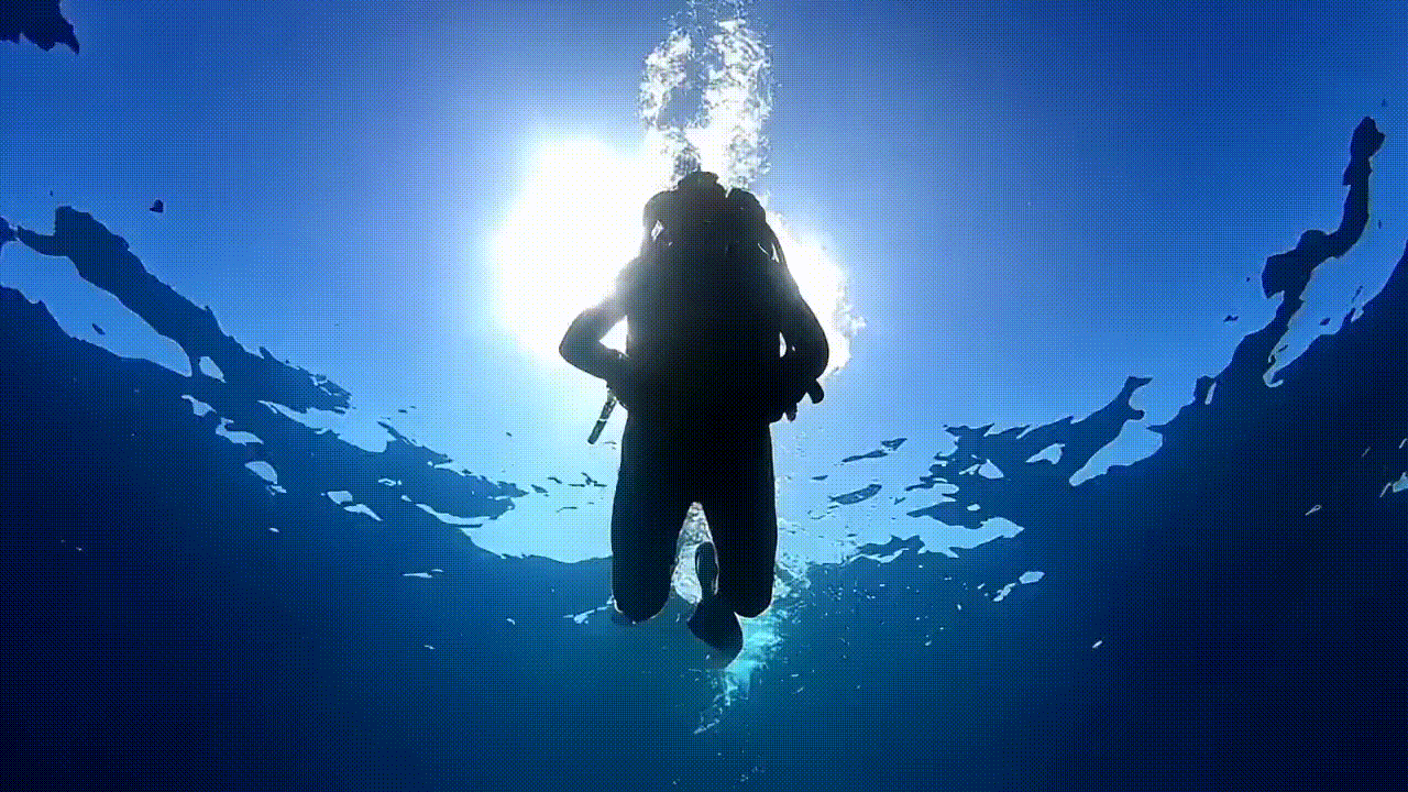 ITP Works in Progress