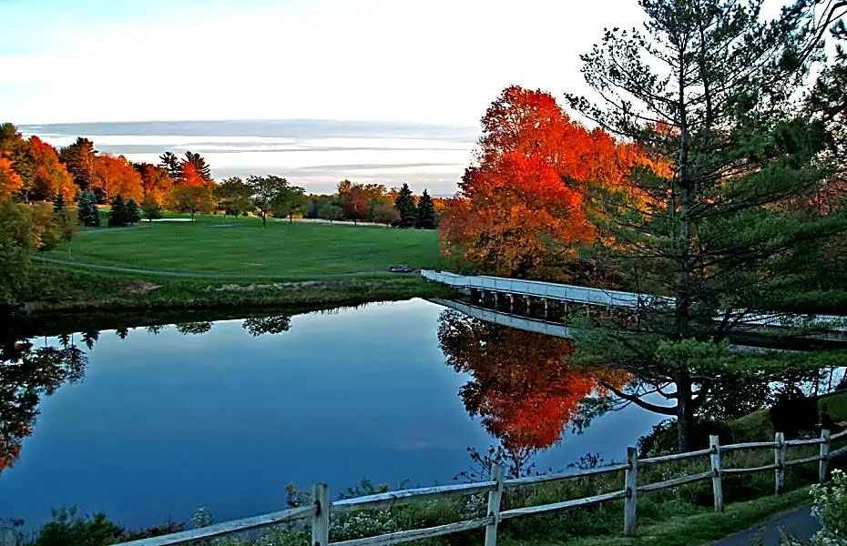 Scenic view of a pond surrounded by colorful autumn trees, a bridge crossing the pond, and a green field in the background with a fence in the foreground.