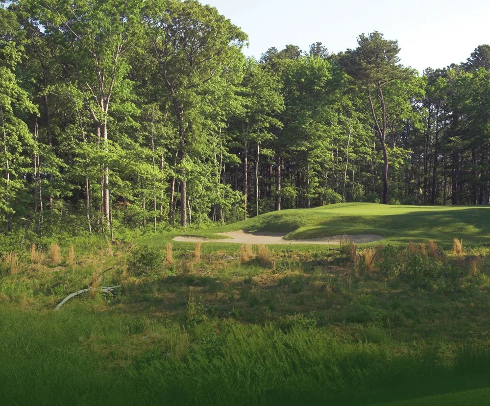 A lush green golf course surrounded by tall, leafy trees and a clear blue sky.