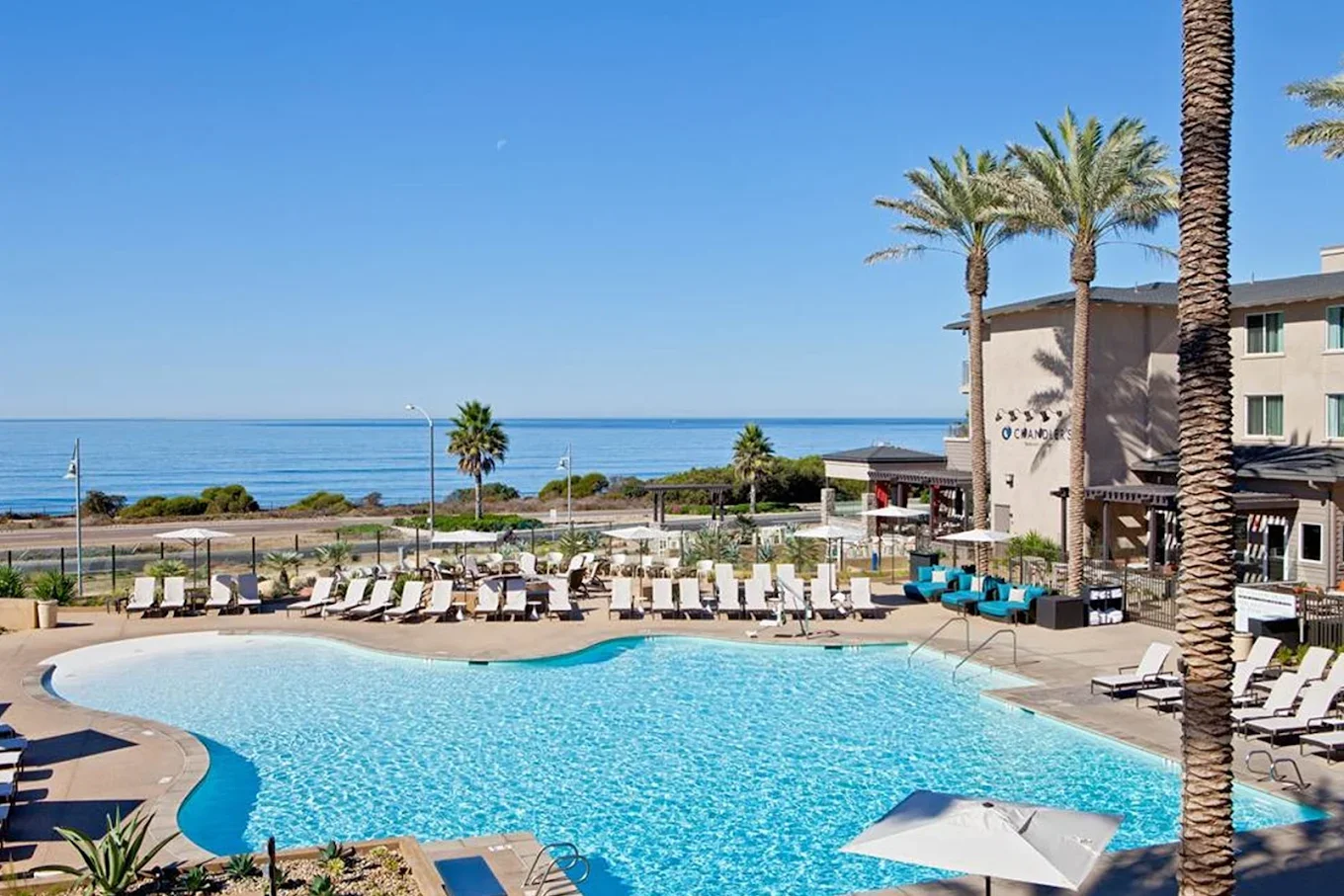 Pool area with lounge chairs, umbrellas, palm trees, and ocean view in the background on a clear, sunny day.