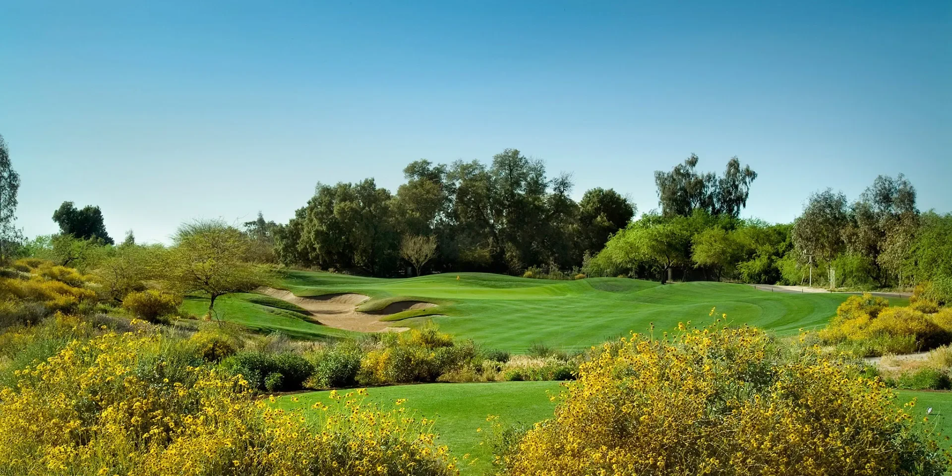A lush green golf course with sand bunkers, surrounded by trees and yellow flowering bushes, under a clear blue sky.