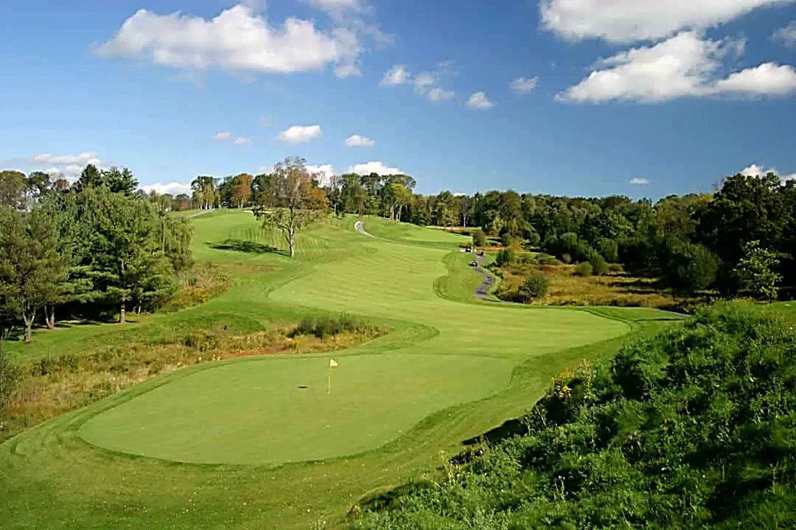 Scenic view of a golf course with a green, flag, trees, and a clear sky with some clouds.