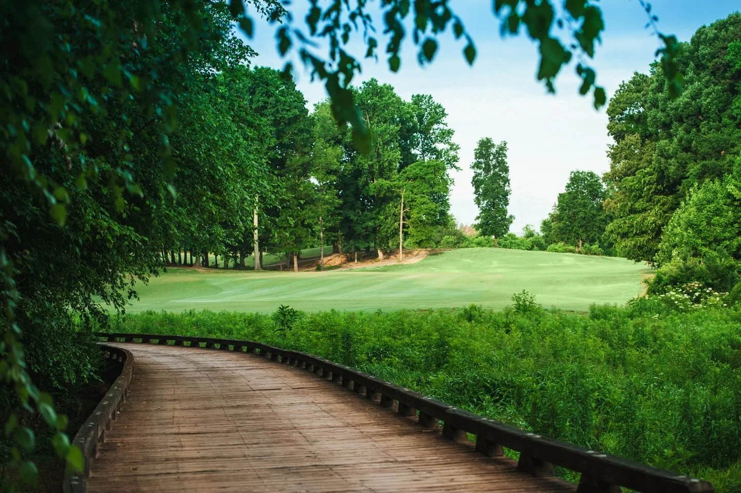 Wooden boardwalk winding through lush green trees and bushes, leading towards a golf course with well-maintained grass and tall trees in the background.