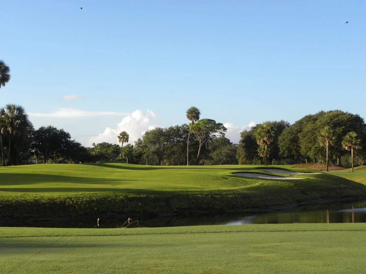 A scenic golf course with lush green grass, palm trees, a water hazard, and a sand trap under a clear blue sky.