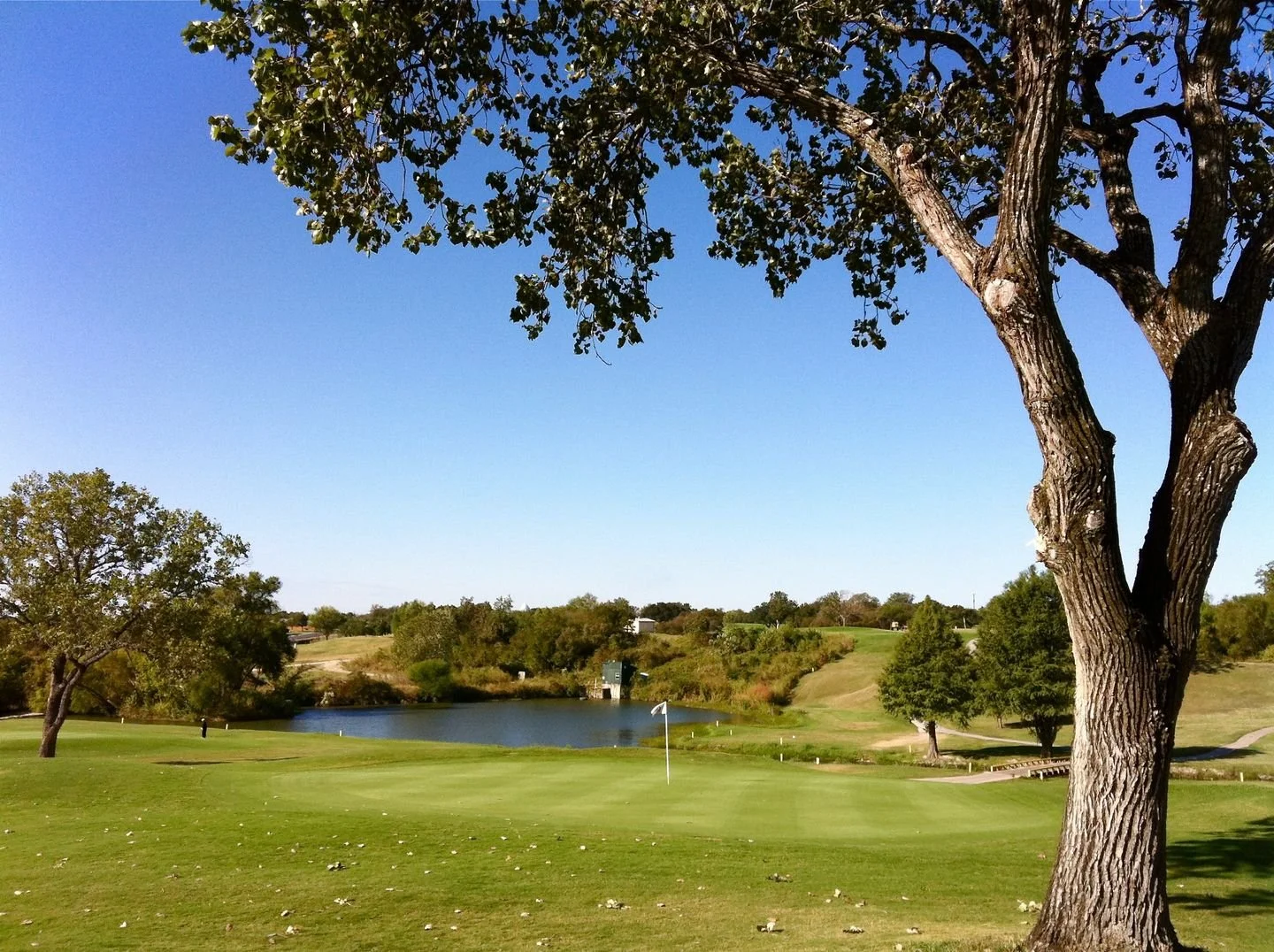 A golf course with green grass, a golf flag, trees around a pond, and a large tree in the foreground against a clear blue sky.