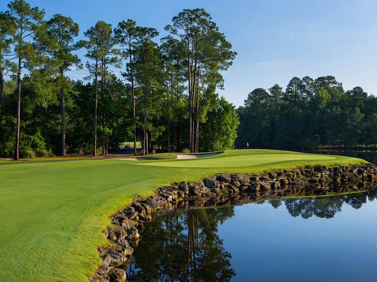 A golf course green with a flag, bordered by rocks and a water hazard, surrounded by tall trees on a sunny day.