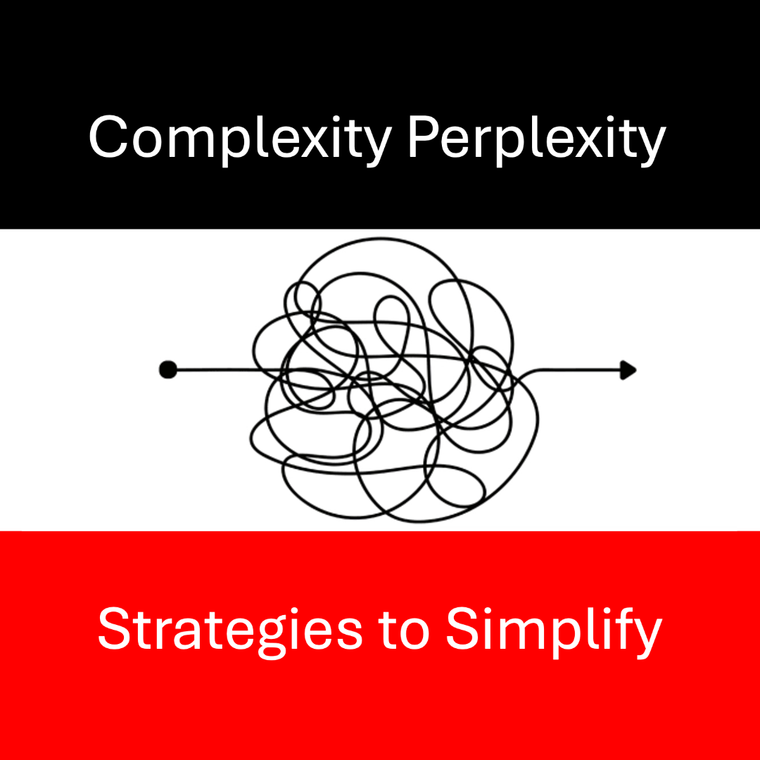 Complexity Perplexity and the AI Race 