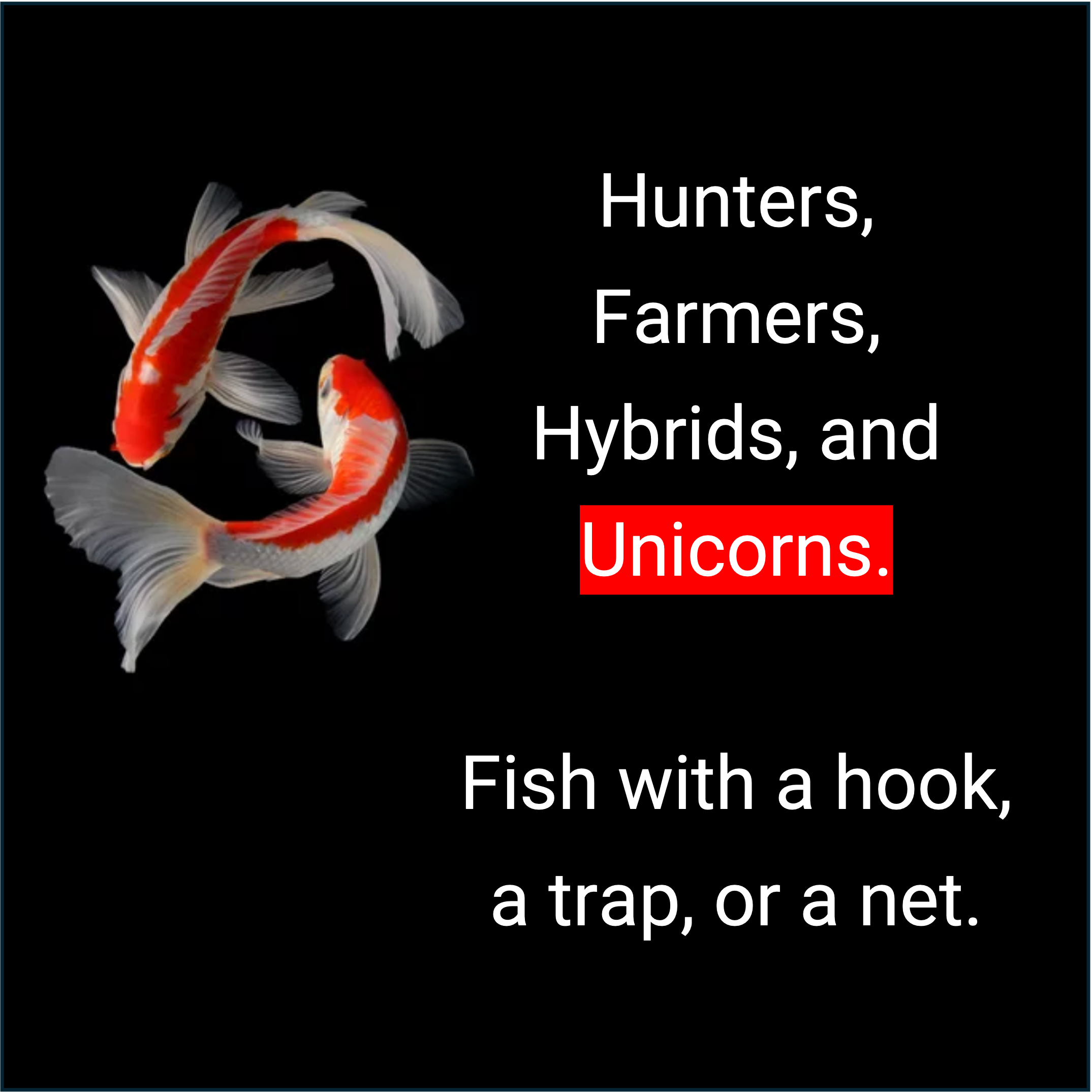 Image of three koi fish swimming on a black background with white and red markings. Overlaid text reads: "Hunters, Farmers, Hybrids, and Unicorns. Fish with a hook, a trap, or a net."