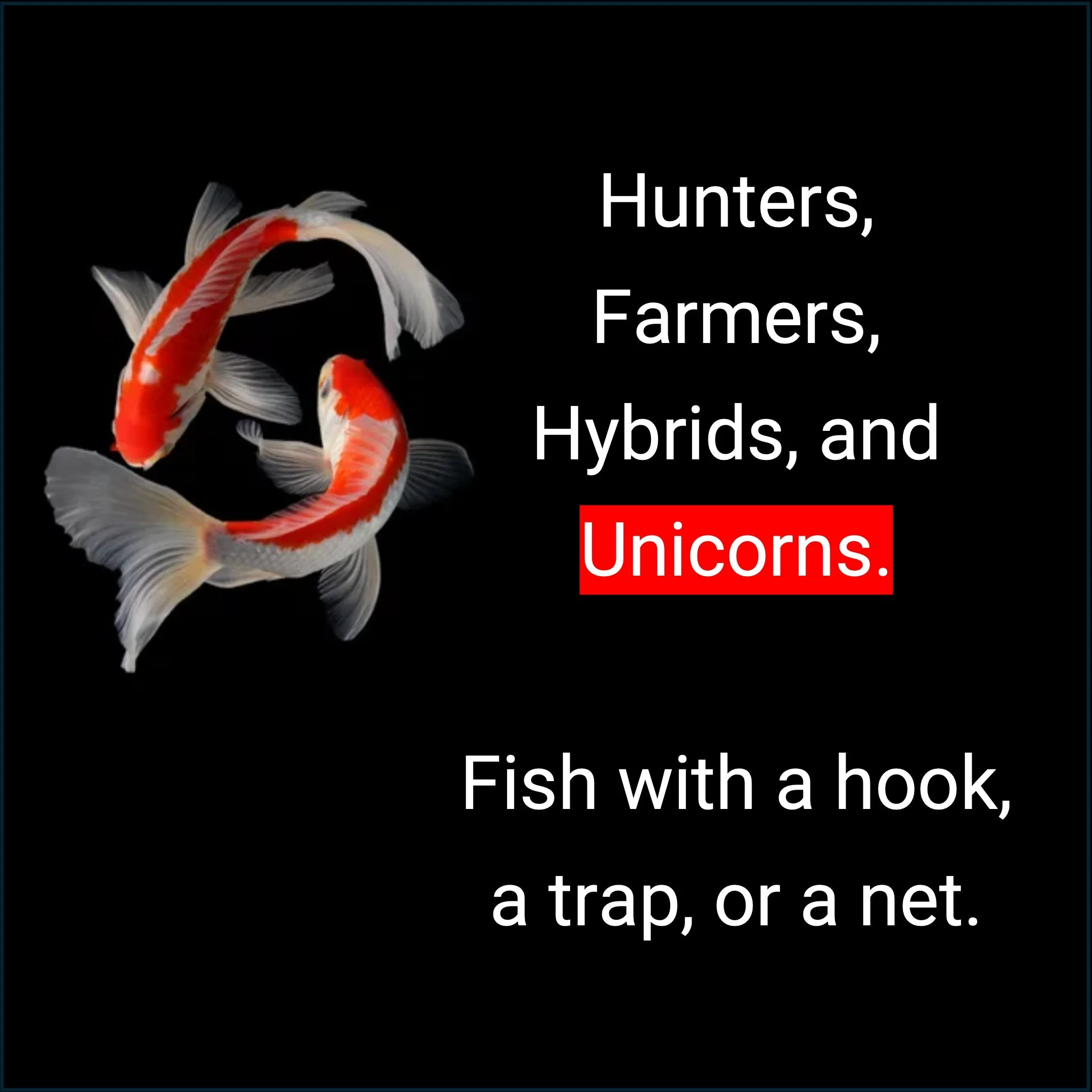 SliderFish_compressed.jpg