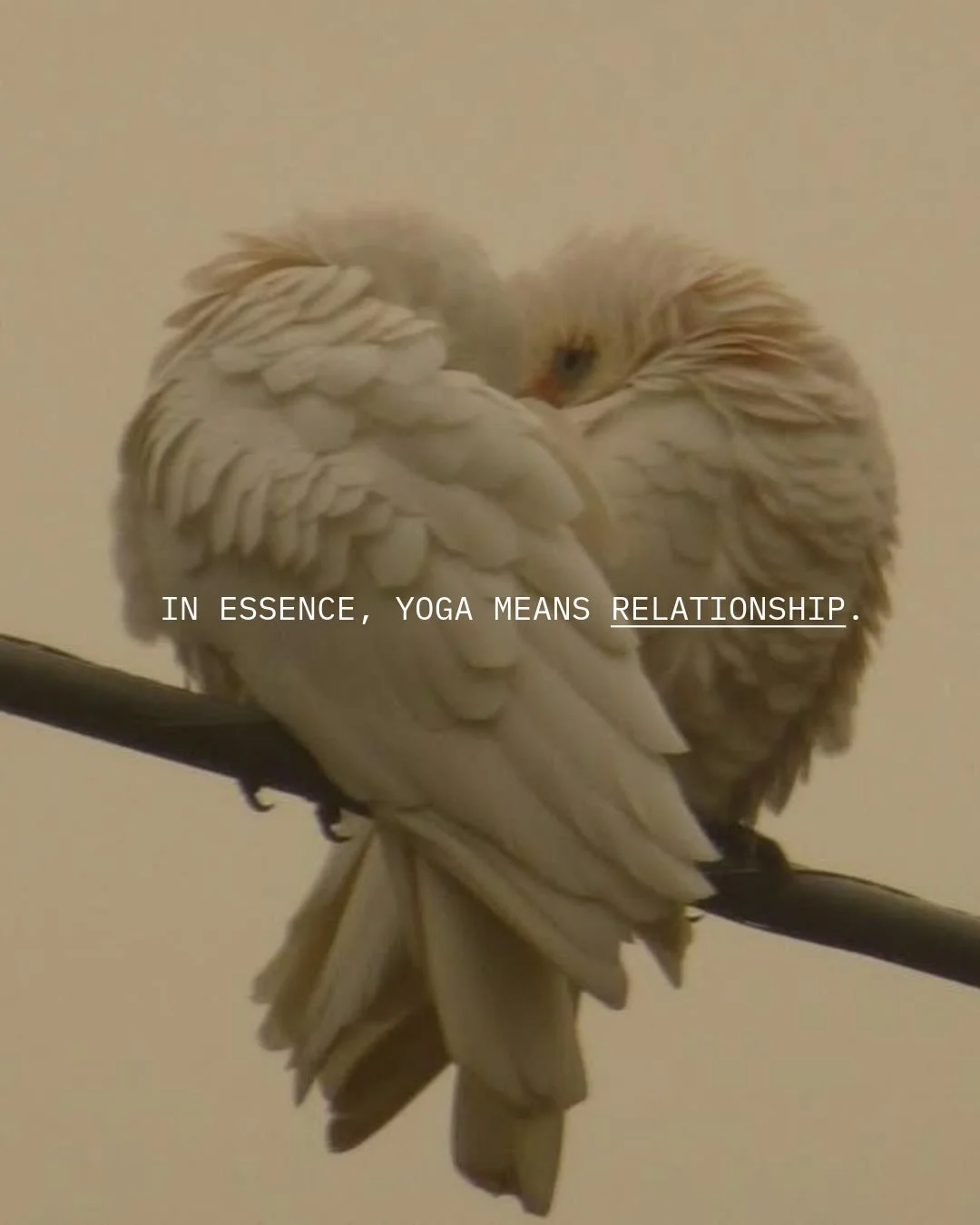 Sunday thoughts 💭

Yoga is relationship. Separation is often an illusion. Soften the distance between self and experience. Dissolve the boundary between who you are and who you think you should be.