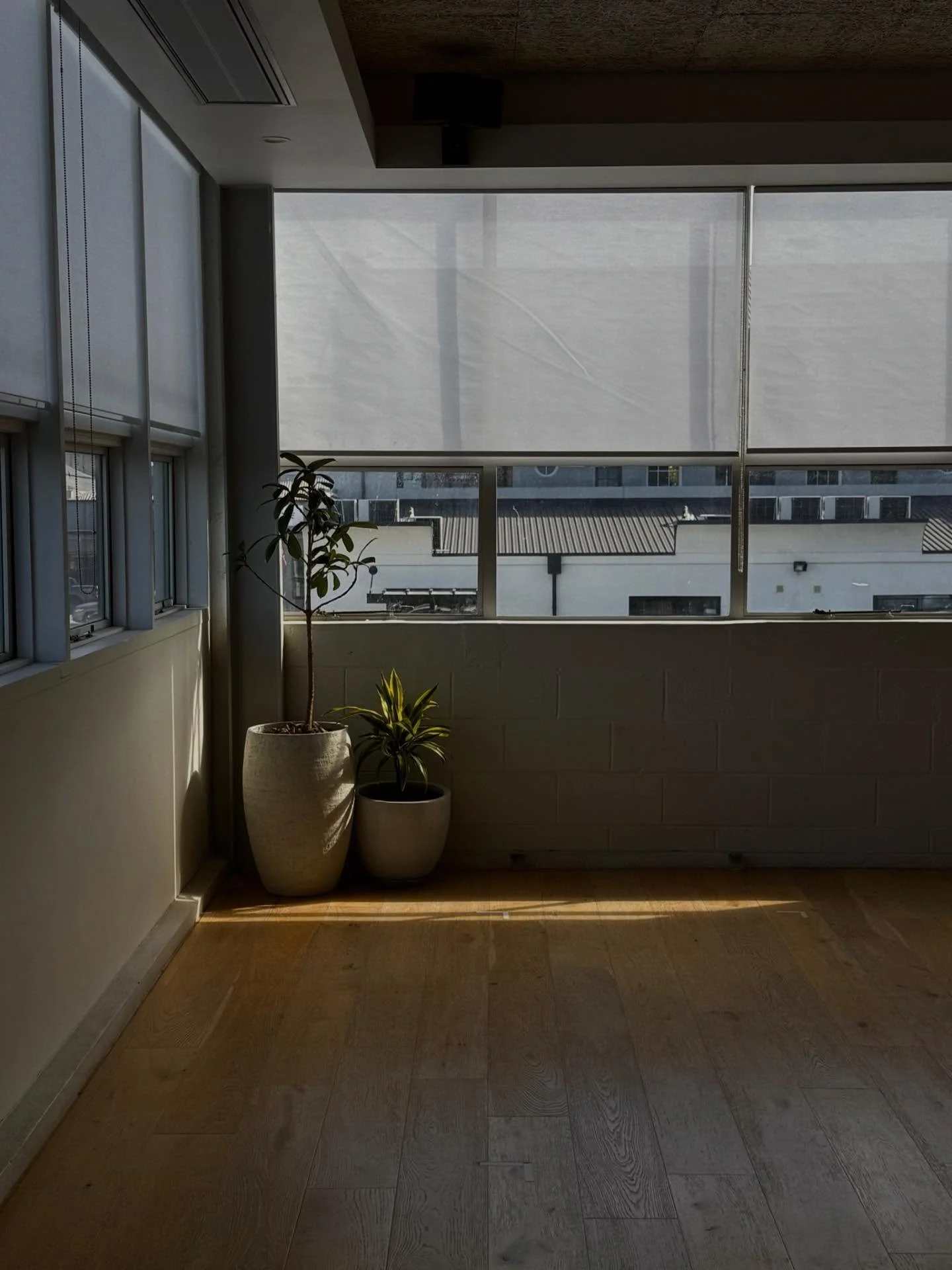 Midweek moments, midweek magic ✨&hellip; soaking in the autumn skies, the occasional blood moon, and most of all, the familiar smiles in our studio. Balance isn&rsquo;t just on the mat &mdash; it&rsquo;s in the little everyday pauses, the shared laug