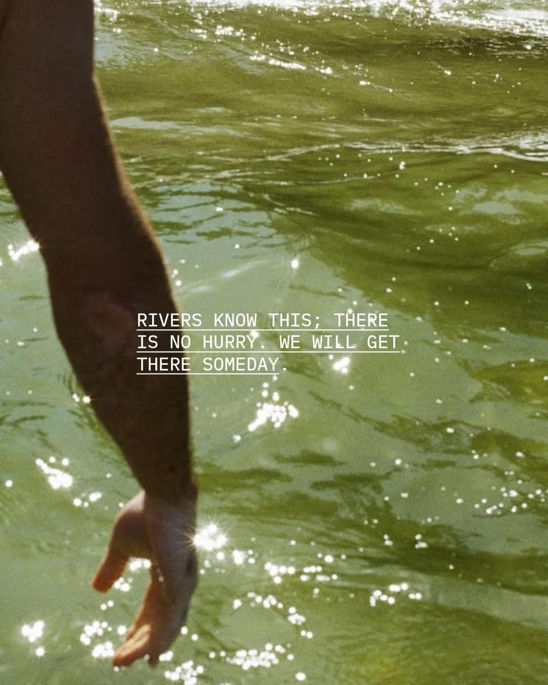 Sunday thoughts 💭🌱 

Everything in nature grows at the right pace.

Roots deepen before branches reach. Seeds rest before they rise. Seasons arrive exactly when they&rsquo;re meant to.

In returning to the ground beneath you, you cultivate patience