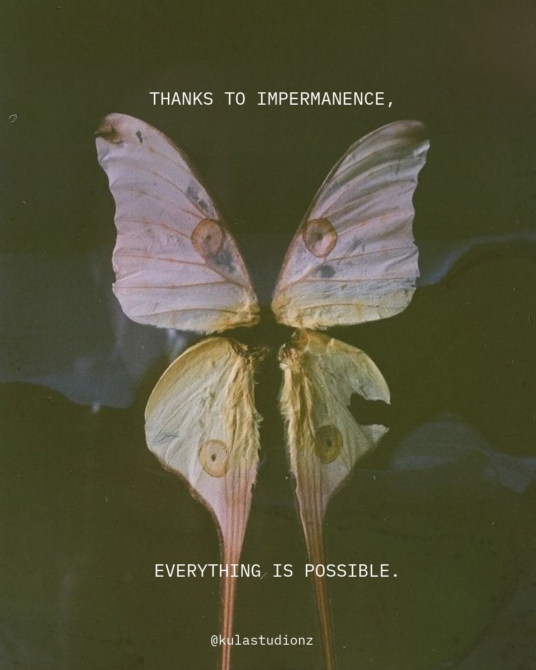 Sunday thoughts 🦋 

You are not fixed. You are not finished. You are movement. Energy. Change in constant motion.
Like weather passing through, or the tide reshaping the shore, nothing here is permanent.
Stay open. Stay curious. Stay in it. Everythi