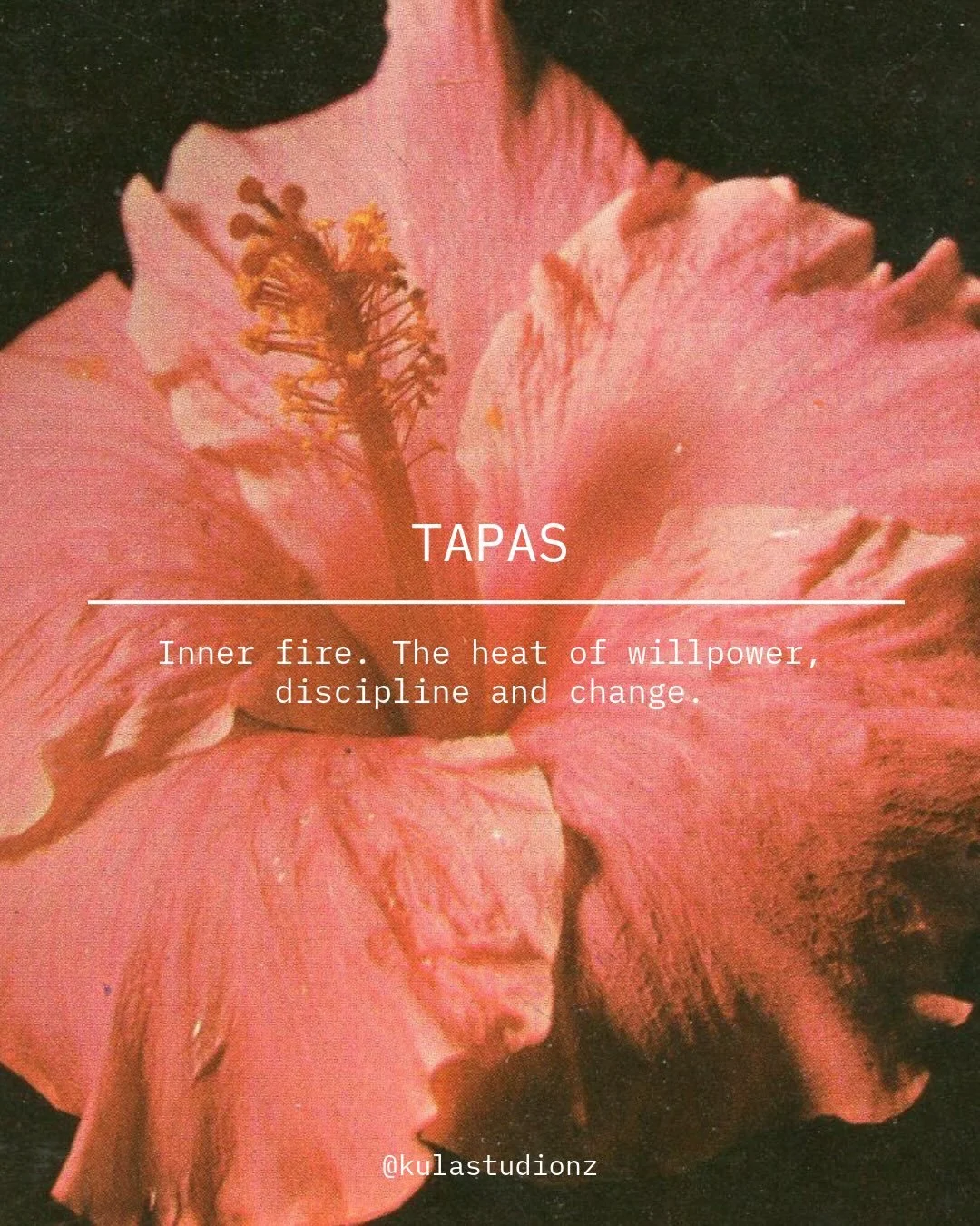 Sunday thoughts 🔥 

As the seasons turn, the air cools and nature moves inward. We do the same. 

With the shift into autumn, our practise becomes a place to warm, refine and renew.

Tapas reminds us that discipline isn&rsquo;t rigidity&hellip;it&rs