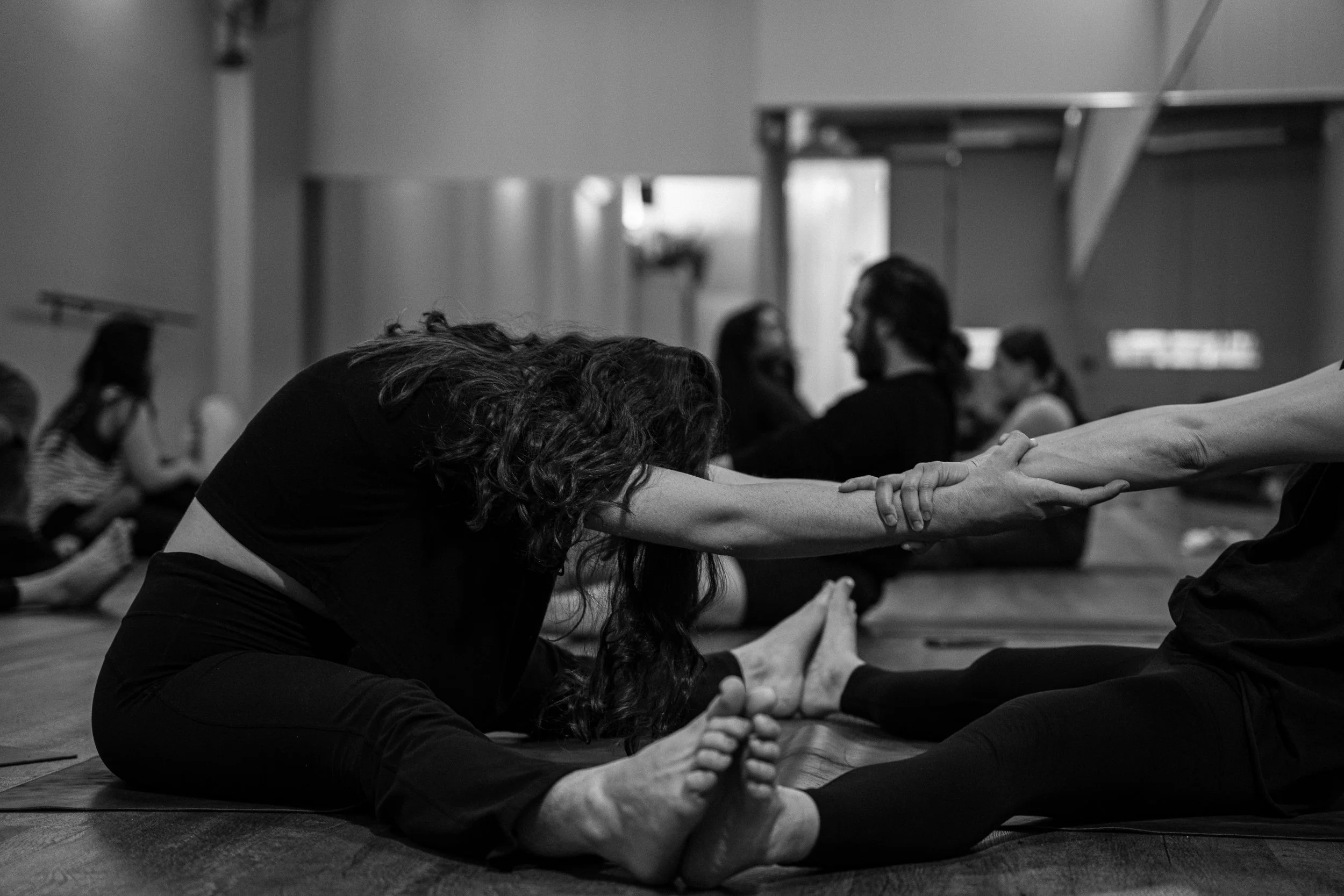 zenthai shiatsu workshop new zealand