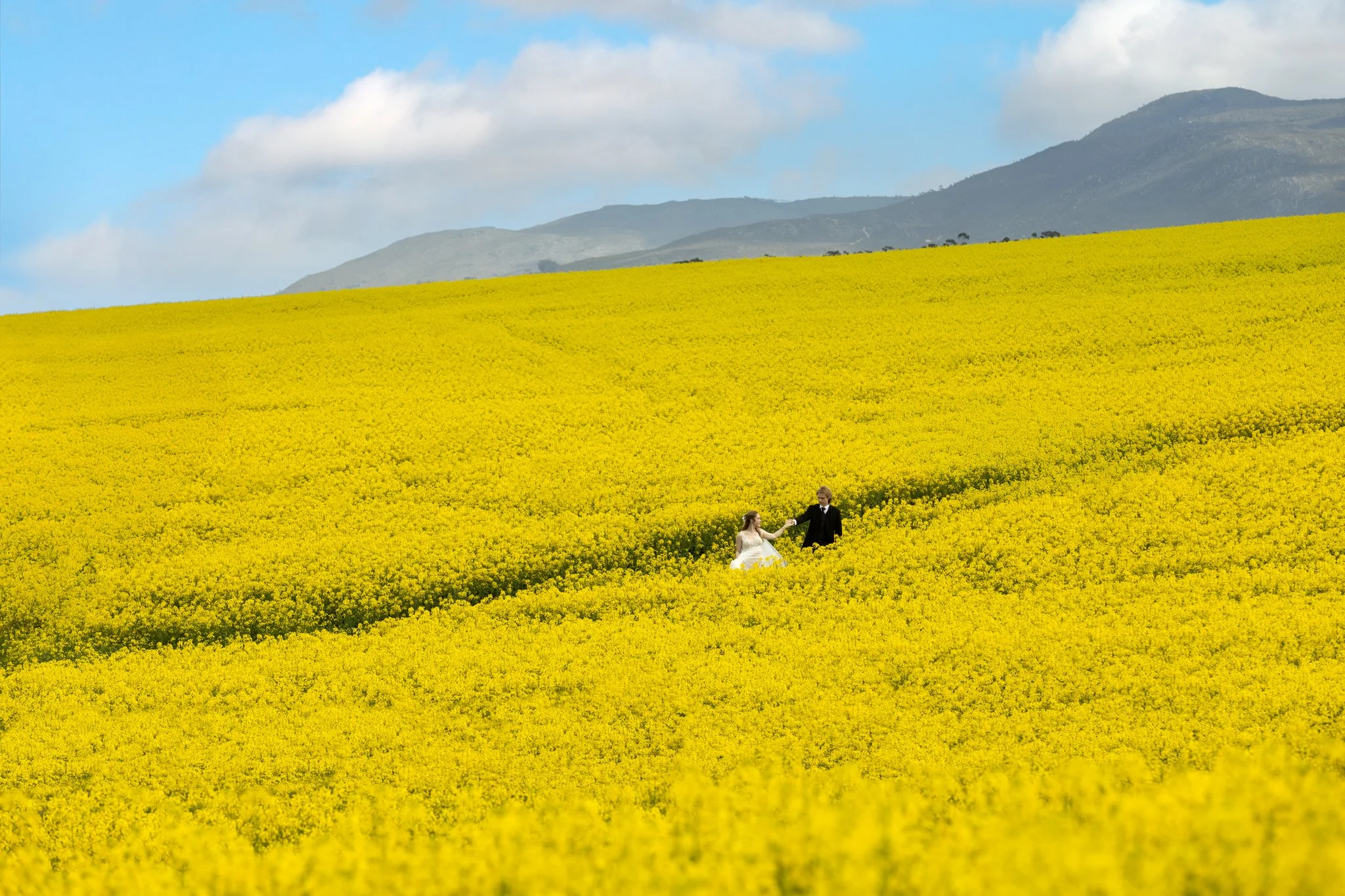 Wildekrans Wine Estate Wedding | Marco &amp; Xandra
