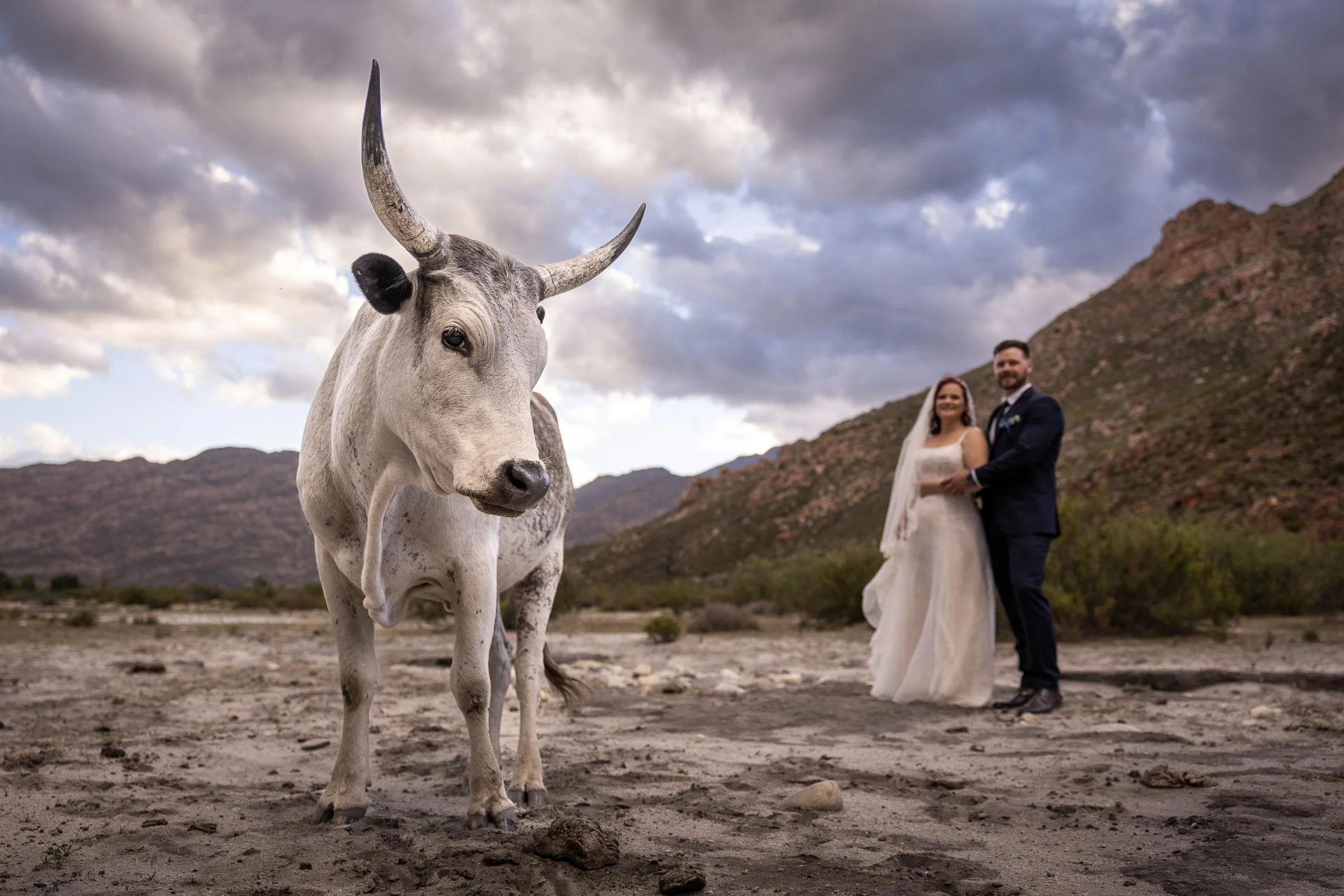 A Rain-Kissed Cape Wedding | Ewert &amp; Bonita