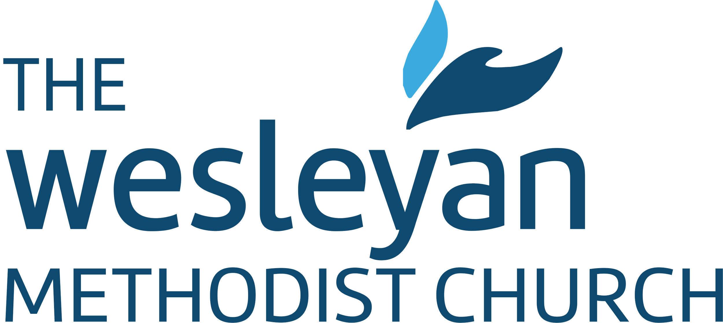 Logo of The Wesleyan Methodist Church featuring stylized blue bird above the church name in blue text.