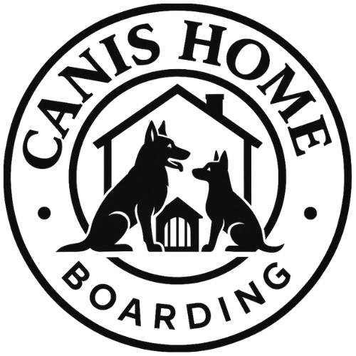 Canis Home – Pension canine à Hannut