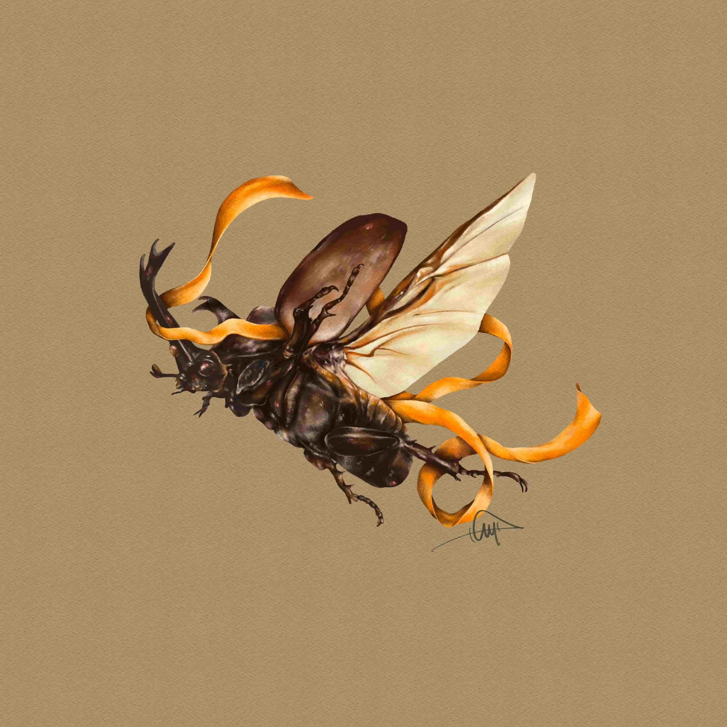 Rhinoceros Beetle Portrait Artworks 1 .jpg