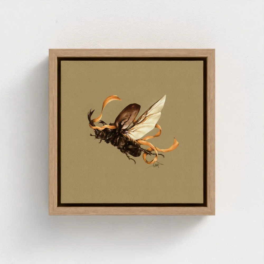 Rhinoceros Beetle - Fly