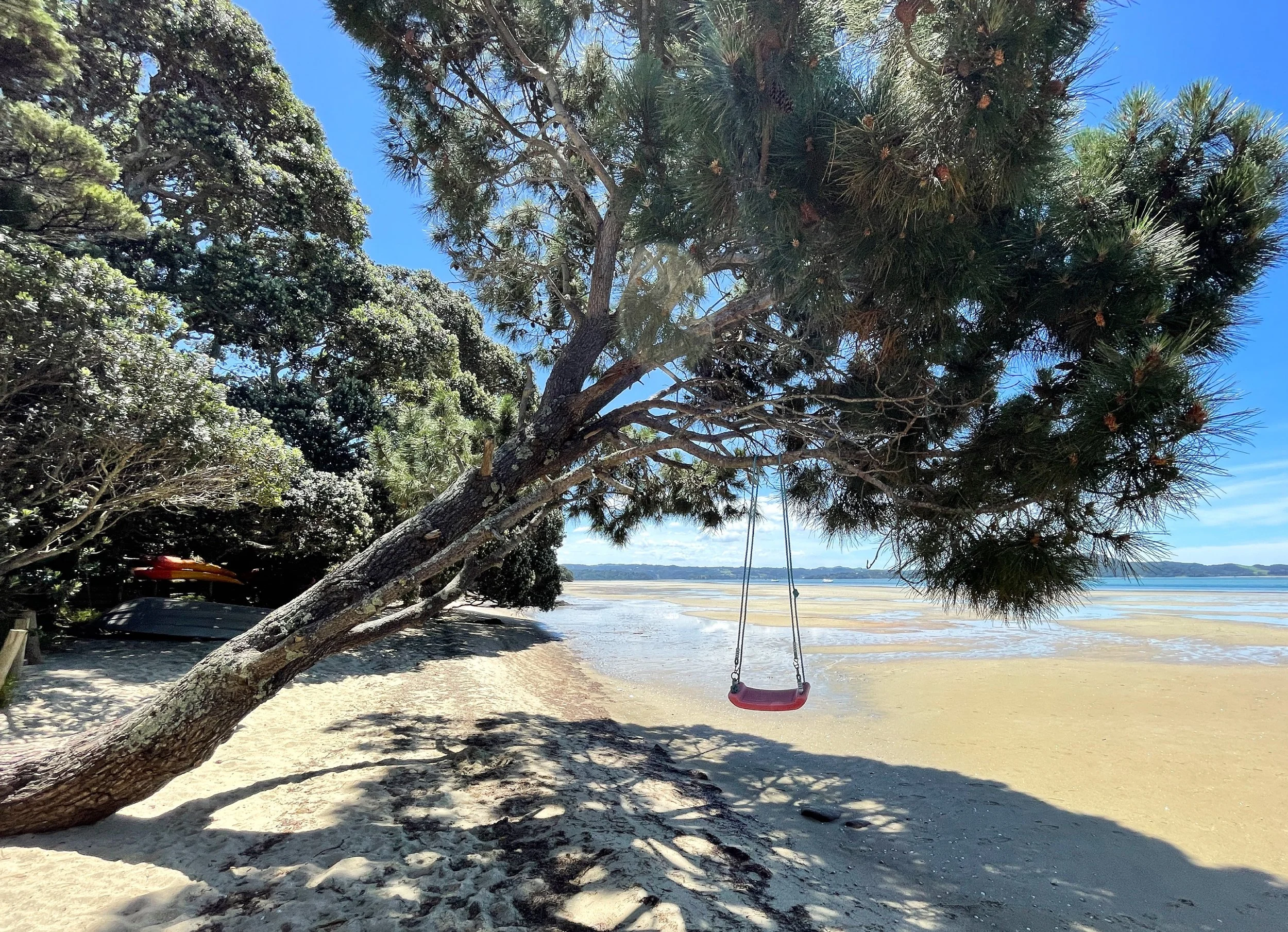 A tree swing hanging from a pōhutukawa tree on a sandy beach at One Tree Point, highlighting the coastal Bream Bay lifestyle. 
Sell your Bream Bay property with James Alexander and Charlotte Daun.