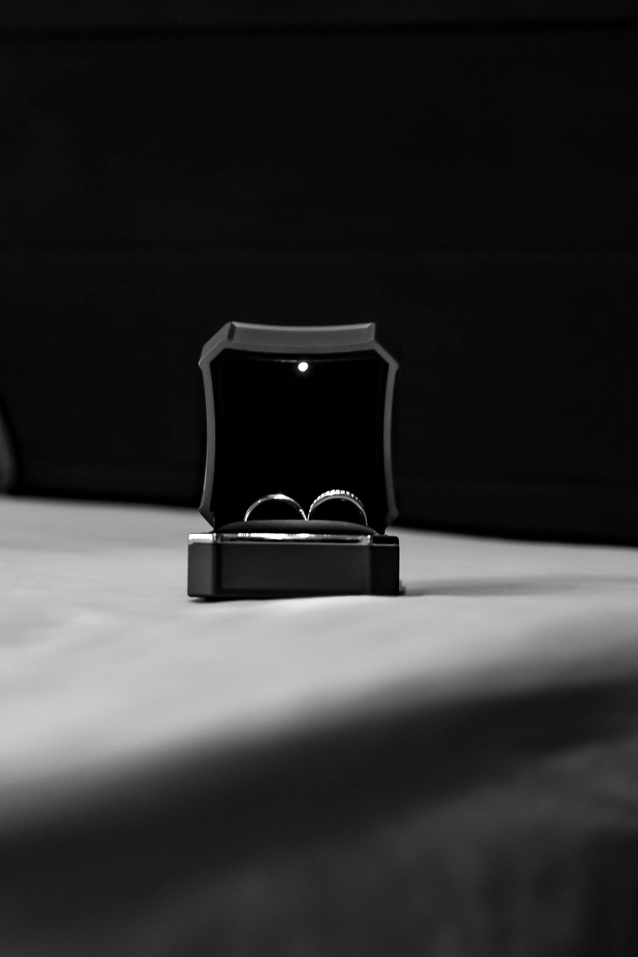 _84A9504.jpg