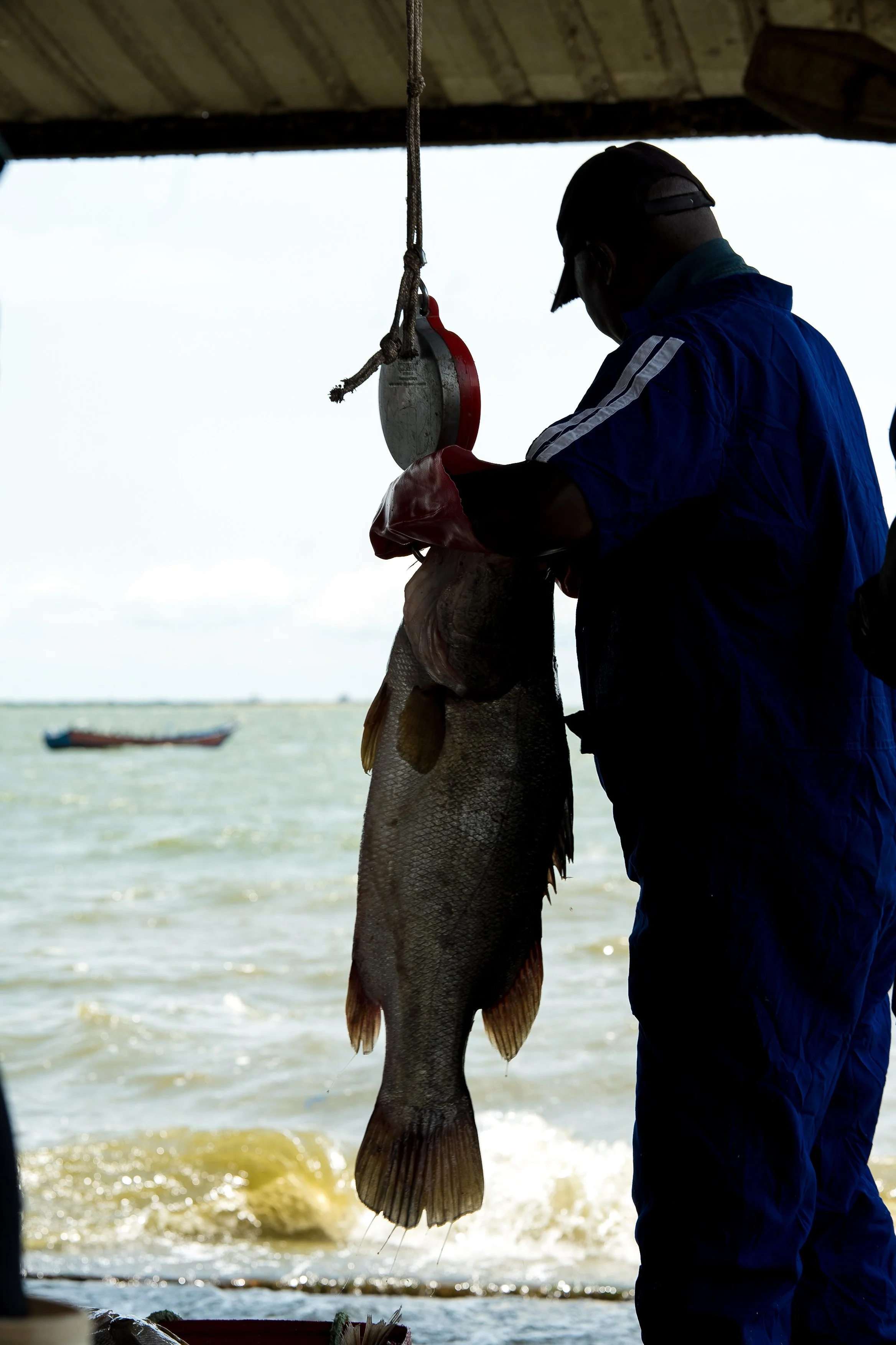 DSC07206.jpg