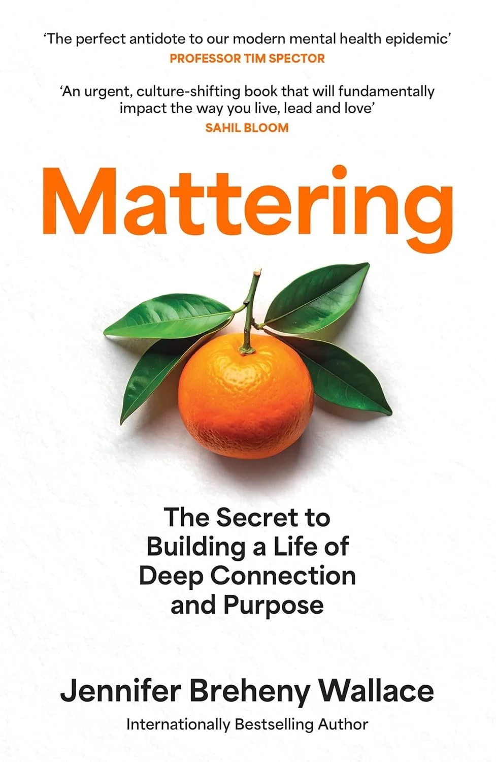 Book cover titled 'Mattering' by Jennifer Brehny Wallace, featuring an orange with green leaves on a white background.