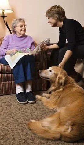 Therapy dog training Charlotte NC