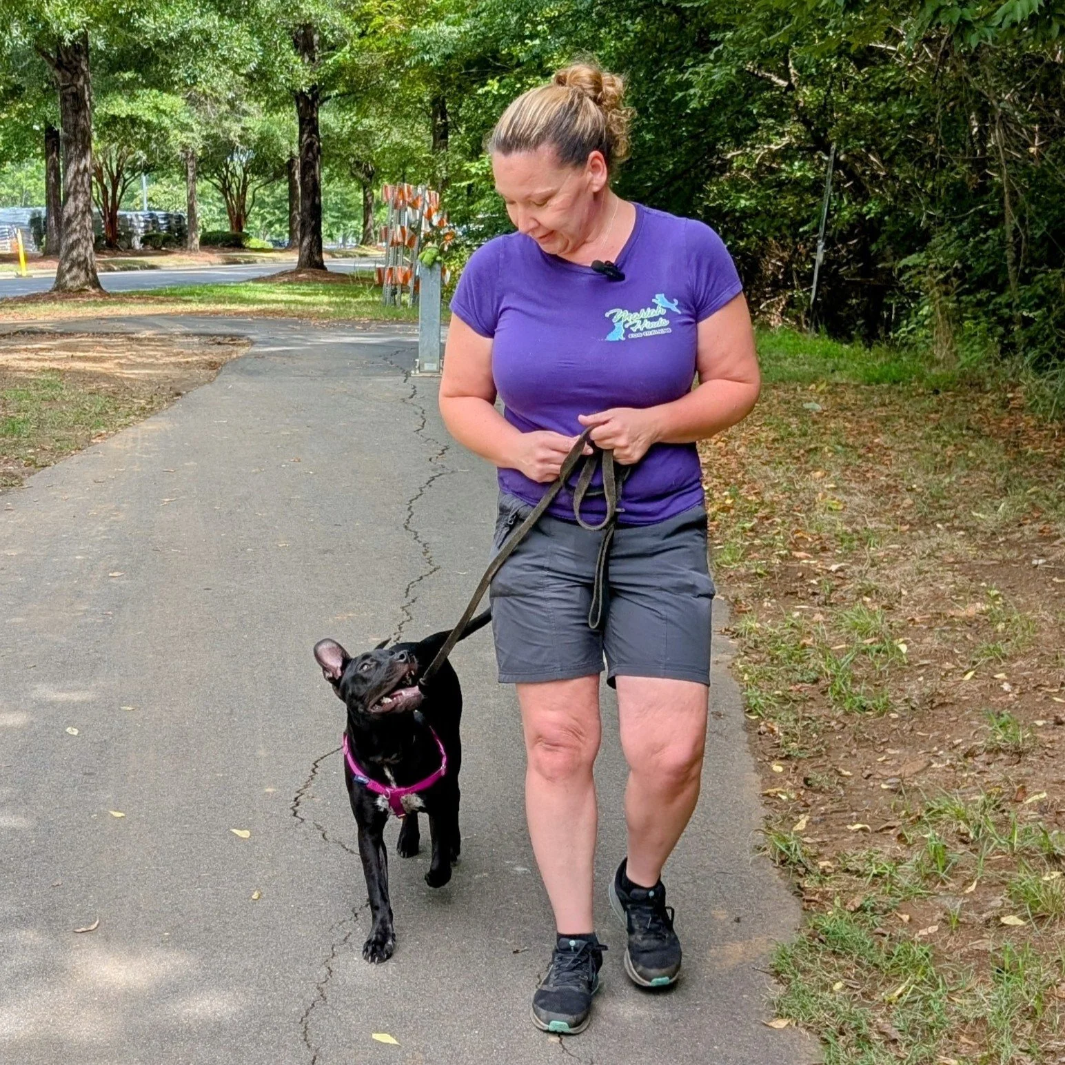 ⭐Dog Training for Busy Professionals Charlotte
