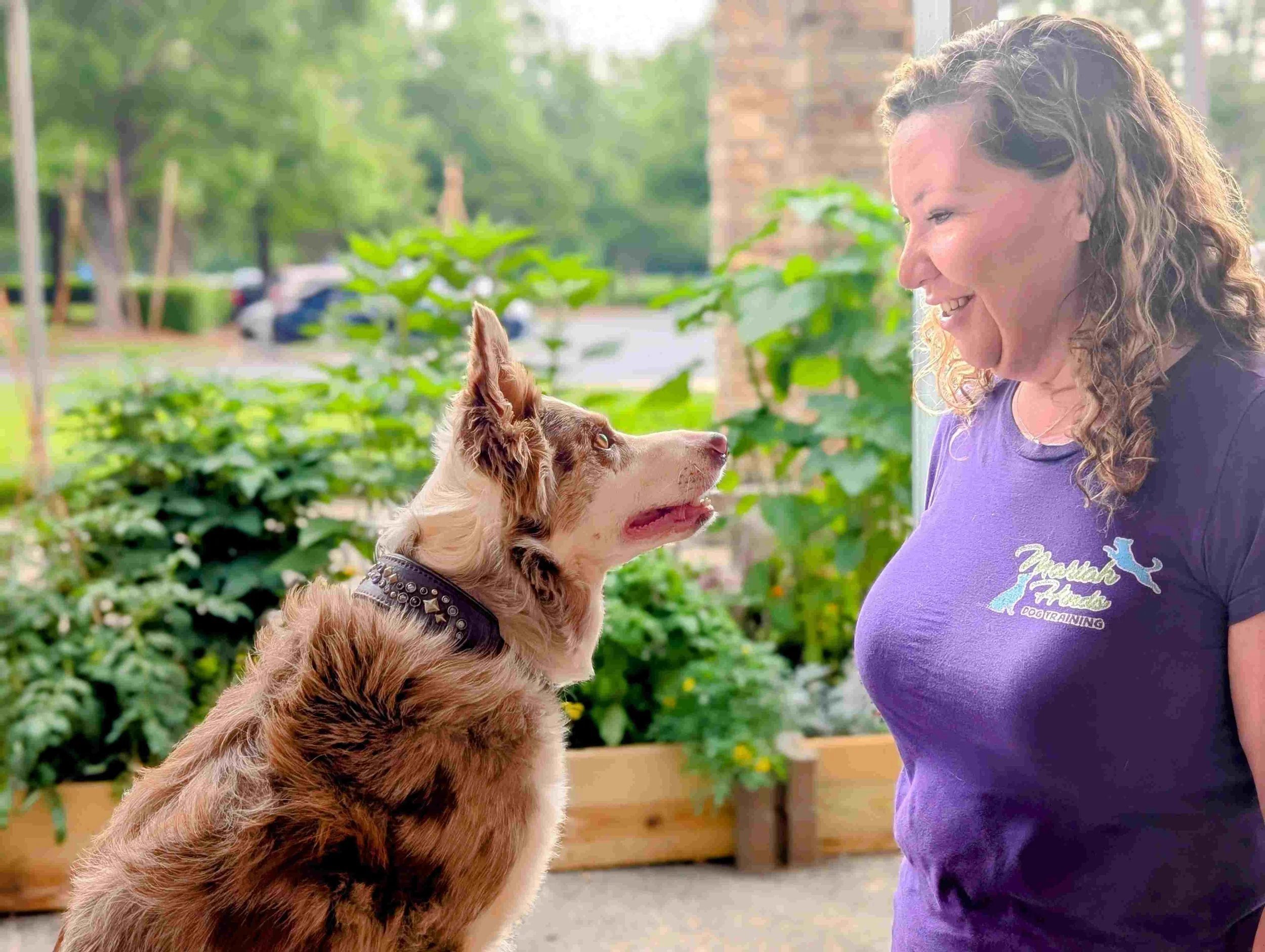 dog training near me