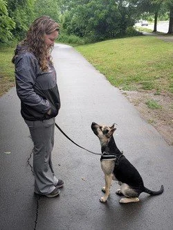 aggressive dog training charlotte nc