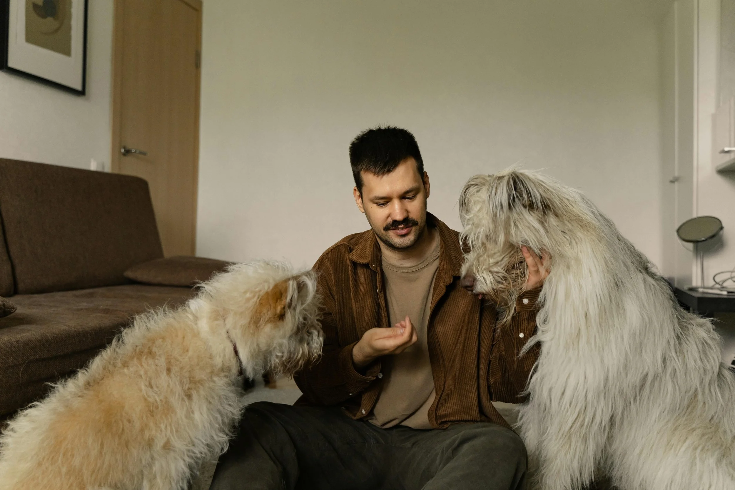 in home dog training charlotte nc.jpg