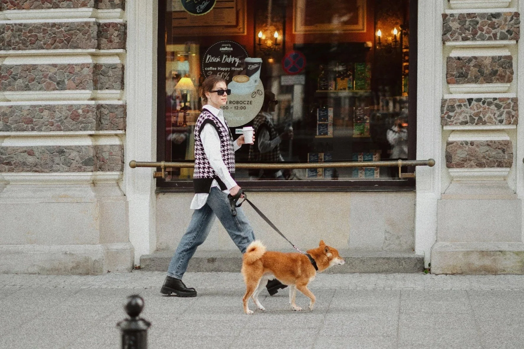 Dog-manners-in-public