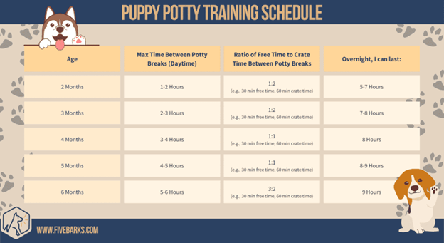 puppy potty training schedule charlotte nc
