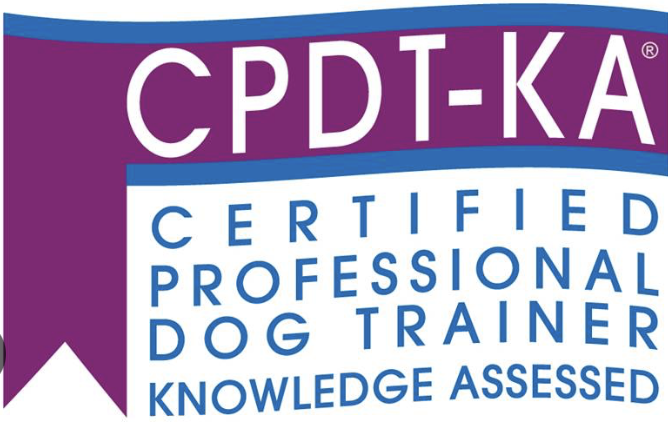 Certified-Professional-dog-trainer-charlotte