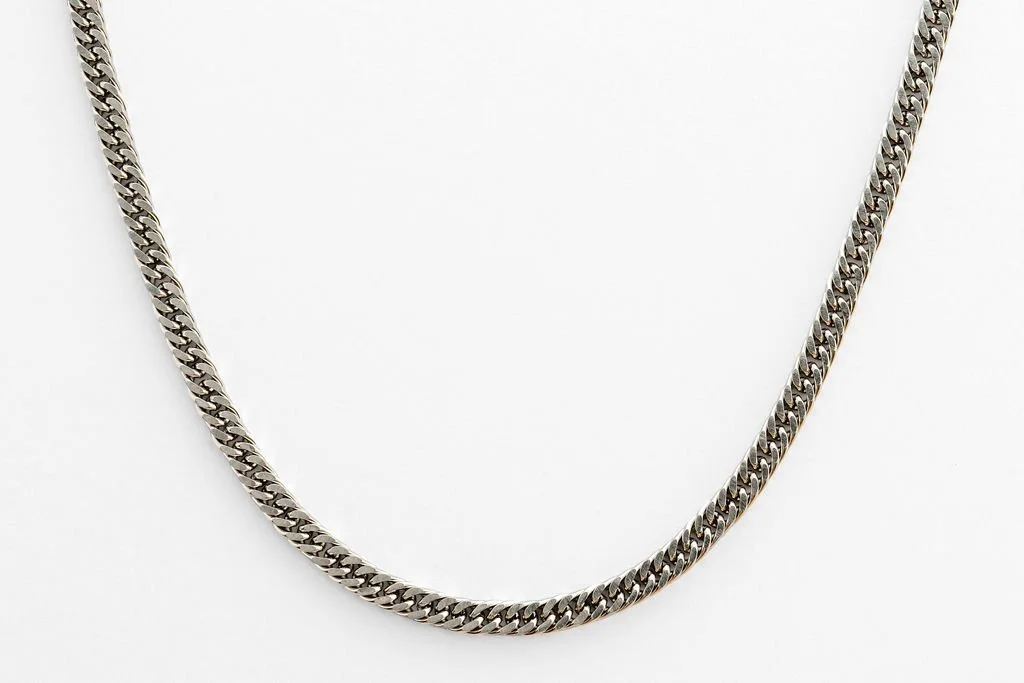 Cycas necklace silver