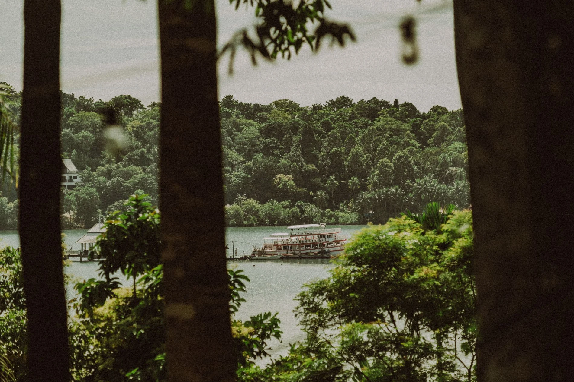 A boat docked at a pier on a lake, framed by tree trunks and greenery in the foreground, with a densely forested hill in the background.