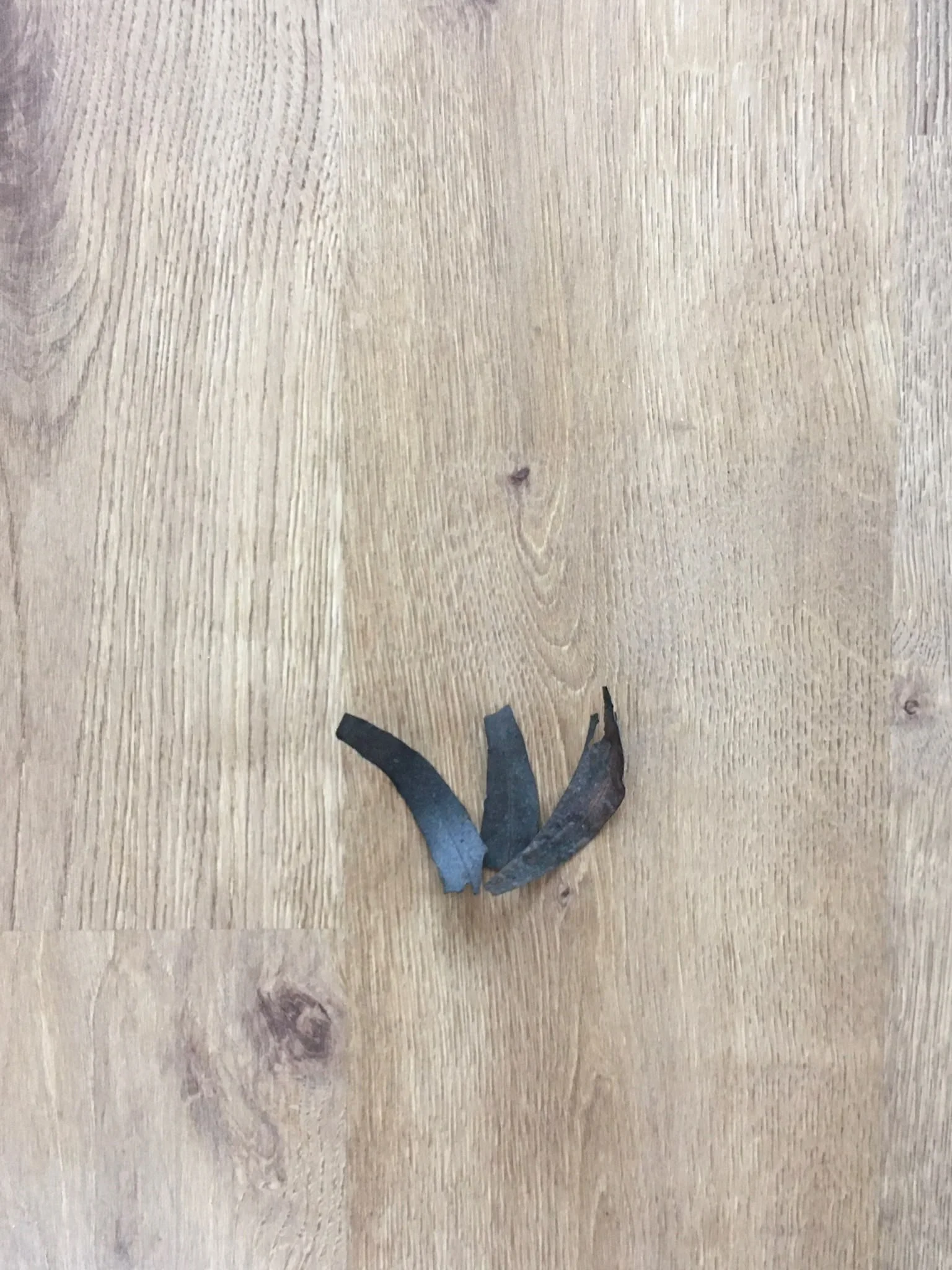 FIRST FIRE