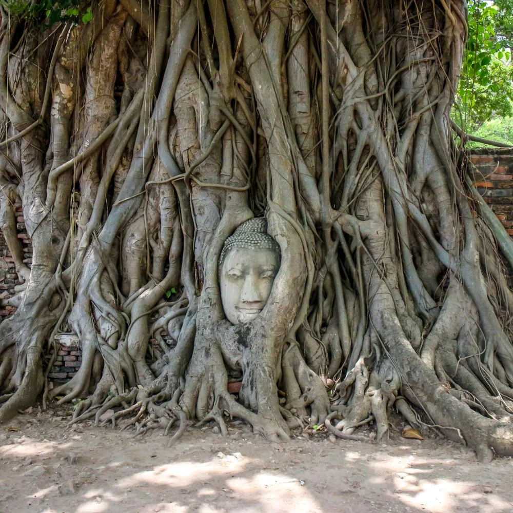 THAILAND 2017-11.jpg