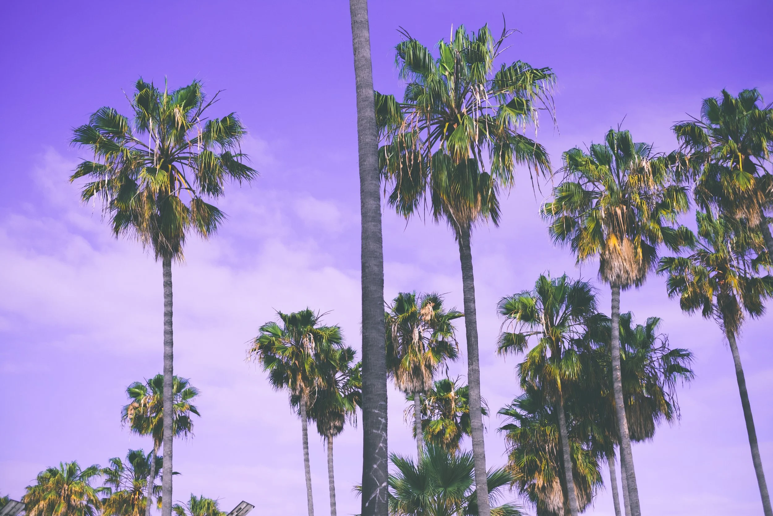 LOSANGELES-186.jpg