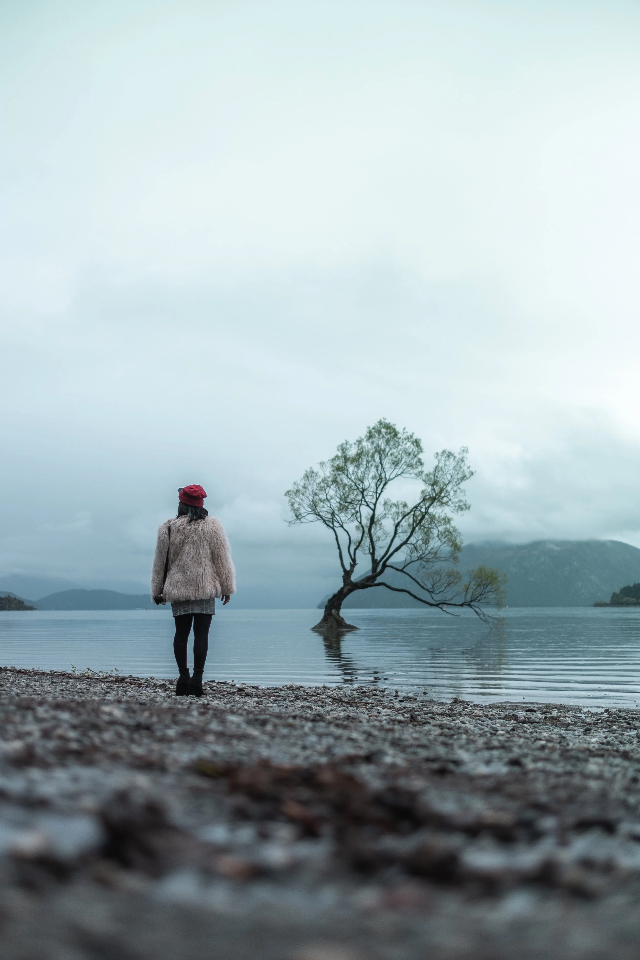 NEW ZEALAND-410.jpg