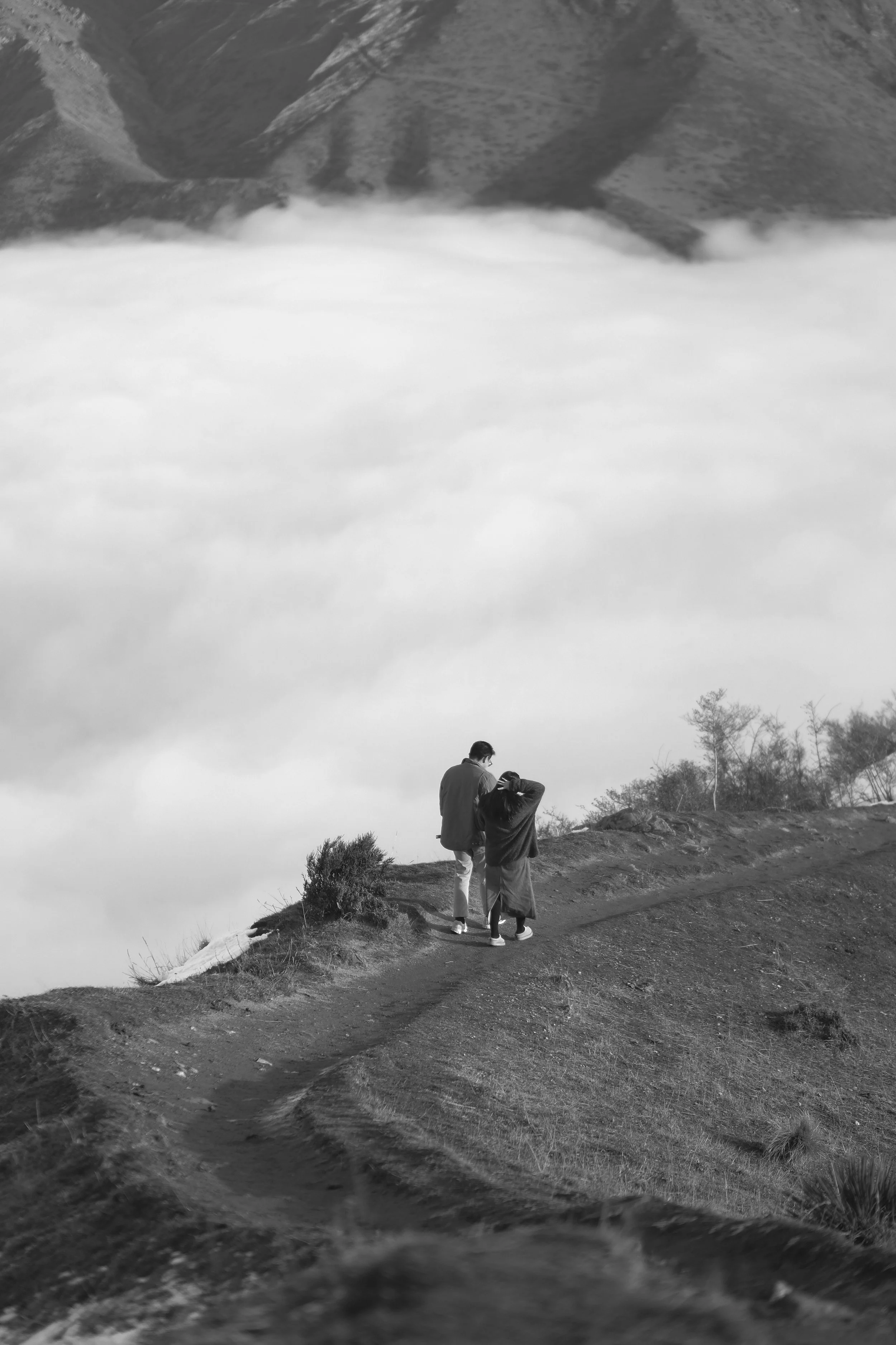 DSCF4391 2.jpg