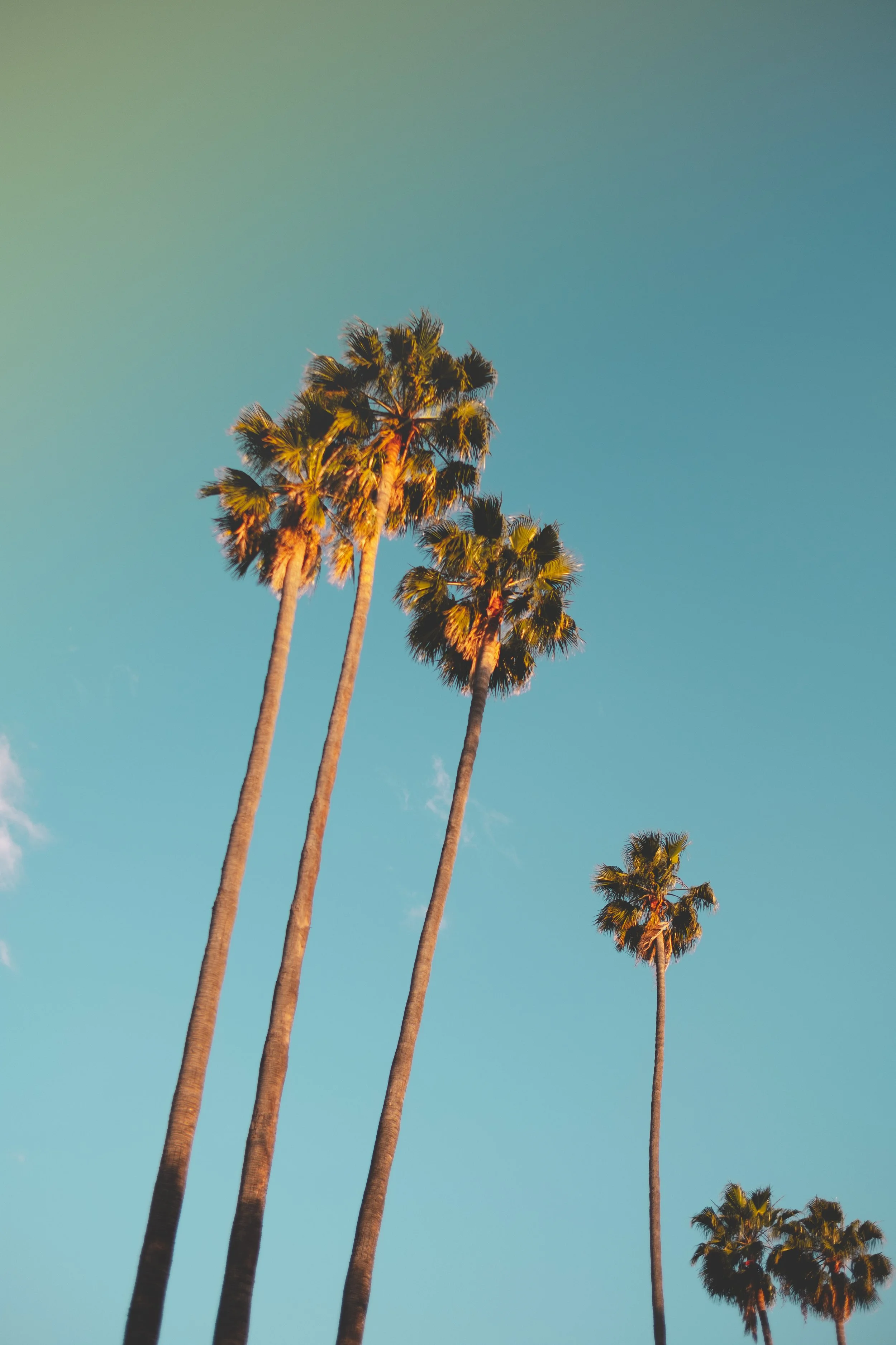 LOSANGELES-43.jpg