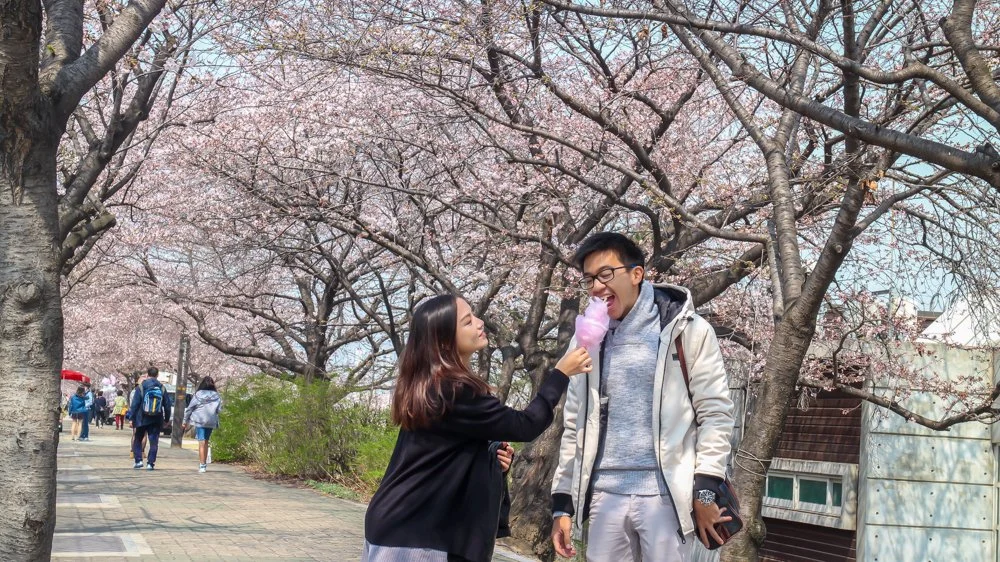 KOREA 2016-29.jpg