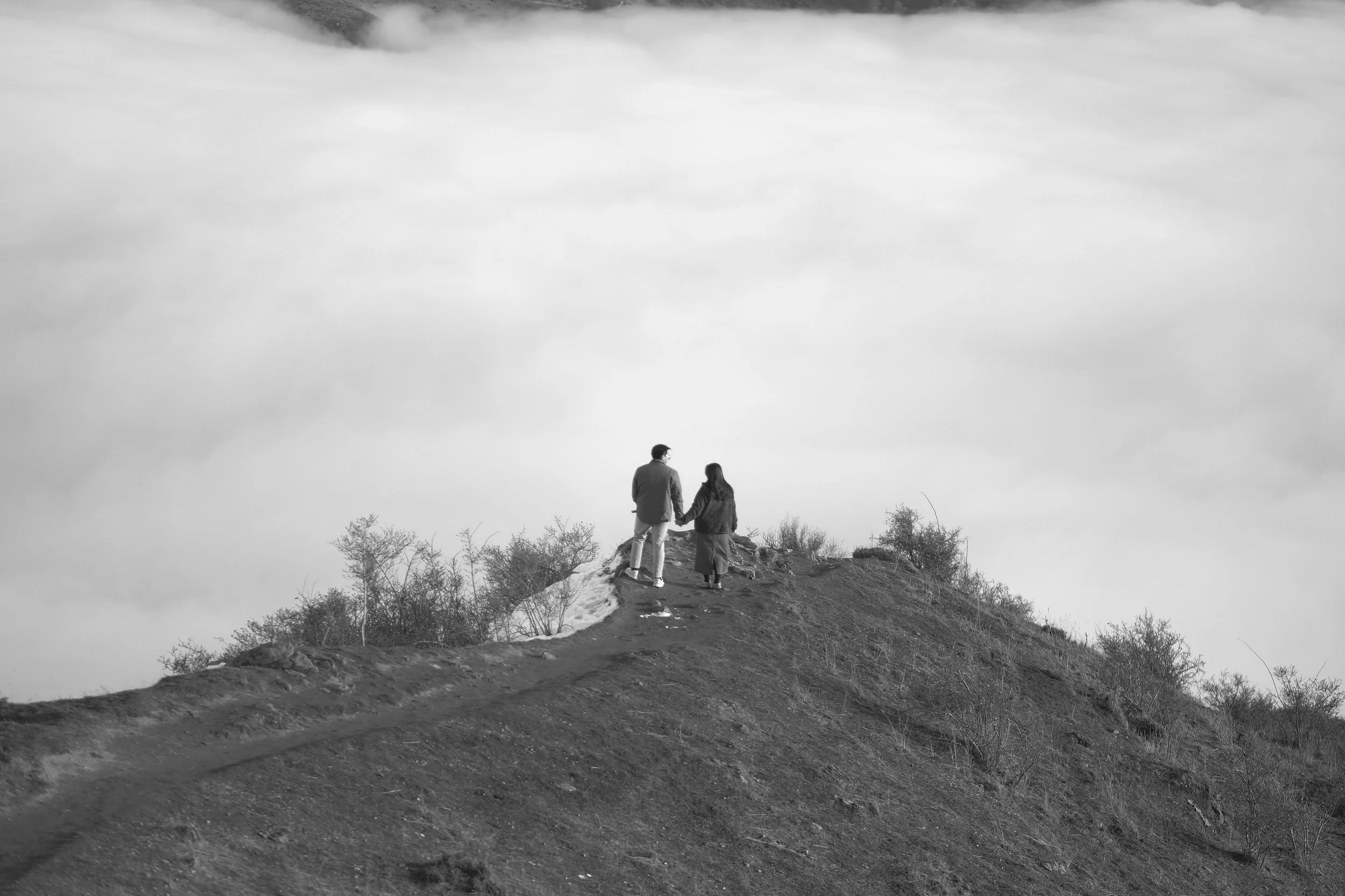DSCF4398 2.jpg