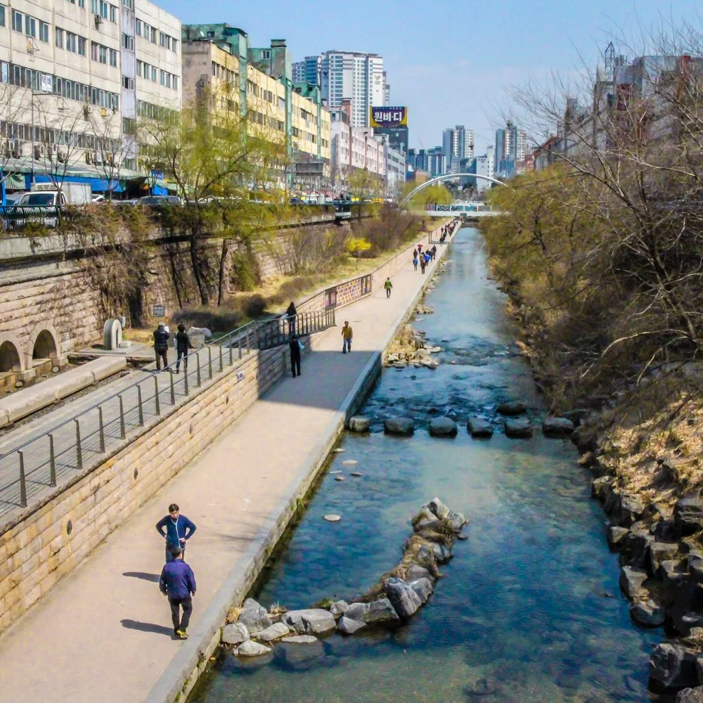 KOREA 2016.jpg